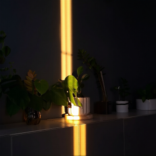 Sunbeam