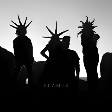 Oscine - Flames